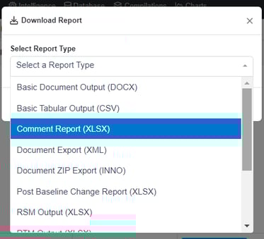 Comment Report Docs View