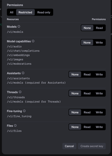 OpenAISetup_Restrictions