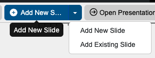 PresentationView_EntitySelection