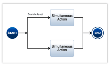 branch asset construct action diagram