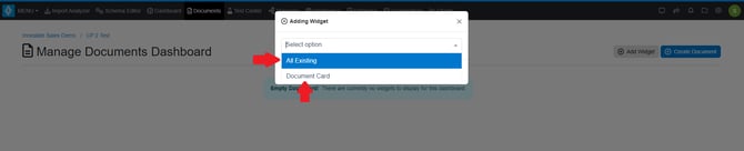Widget Options Document Dashboard