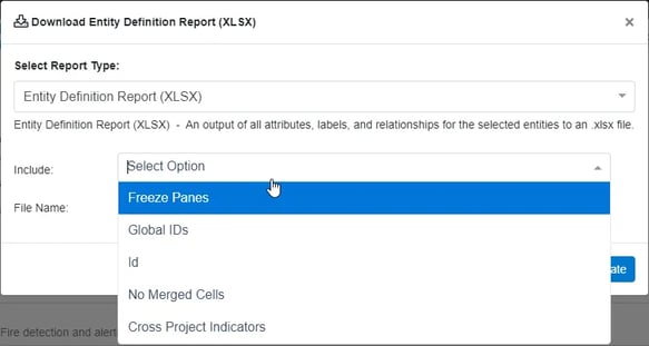 entity definition report 2